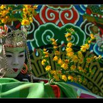 Matsuri na Vysehrade