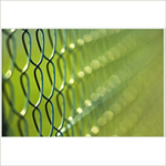 Sousedské vztahy ...