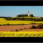 Cestou necestou, polem nepolem