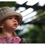 zahradní slavnosti v barvách