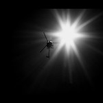 vzhůru ke slunci...