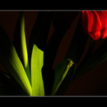 nepatříme k sobě...