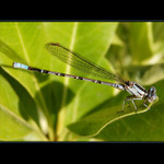 Jen tak si odpocnout