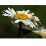 Tak pojď, já čekám