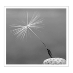 ...posledný závan jari...