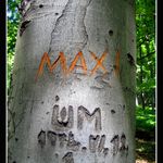 Maxi Blbec..