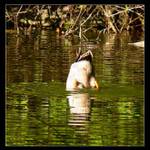 Víš co mi s tím foťákem můžeš?