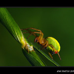 ...ten se ale vybarvil...