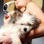 Podělanej psí život