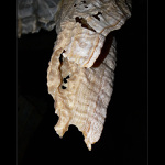 dokumentace Štefanovy jeskyně