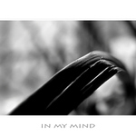 IN MY MIND