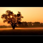 ..:: Temné ráno ::..