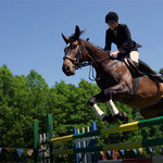 Trocnov 2007