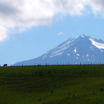 RIORIAKA-MRACKY, KOPECEK, KRAVICKY, TRAVICKA. . .