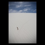 White Sands NP #2