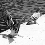 Neotacej se ke me zady, kdyz s Tebou mluvim... !!!