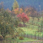 zahrada v lete