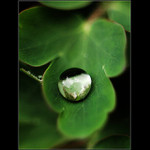 A poslední ze série kapek