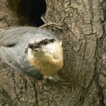 hele to je moje tak pokračuj jo!