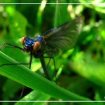 Musíme si promluvit, mladej!