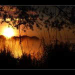 Tam za vodou v rákosí