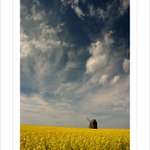 *** Starý větrný mlýn ***