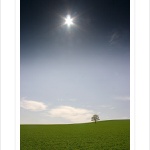 *** Otický samotář ***