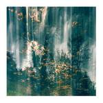 *** V mém náručí ***