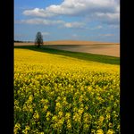 Jihočeská pohodička