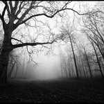 Návraty do veltruského parku XXV