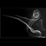 Kouřové signály VIII.