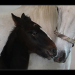 Láska na první pohled