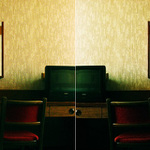 jednodenni koexistence stejne chladnych ran