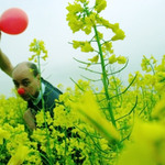 brassica napus napus