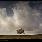 in the middle of nowhere