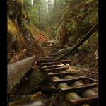 Velký sokol - Slovenský raj