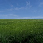 Poľoffka pred letom