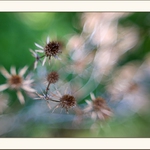 Na vlnách zapomnění