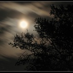 ** Noc vlkodlaků **