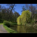 Ráno v Krásném dvoře