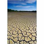 Rybníkovka vypuštěná