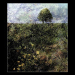 Za sedmero horami...