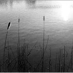 Jezero