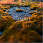 ..svět sám pro sebe...