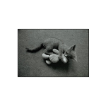 Olda der Bärenführer