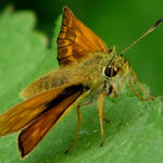 Pripravený k odletu