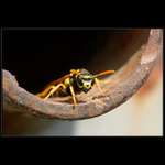 Co mně sem lezeš?!