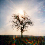 WPPD 2007
