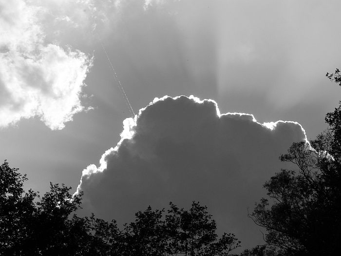 Cumulus