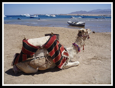 Odpočinek po jízdě